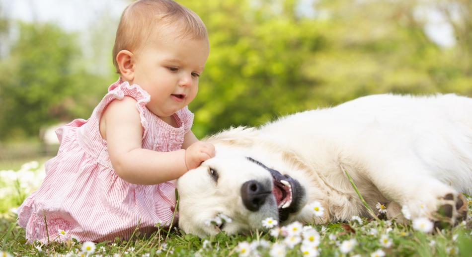 Dile sí al contacto entre tu mascota y tu hijo