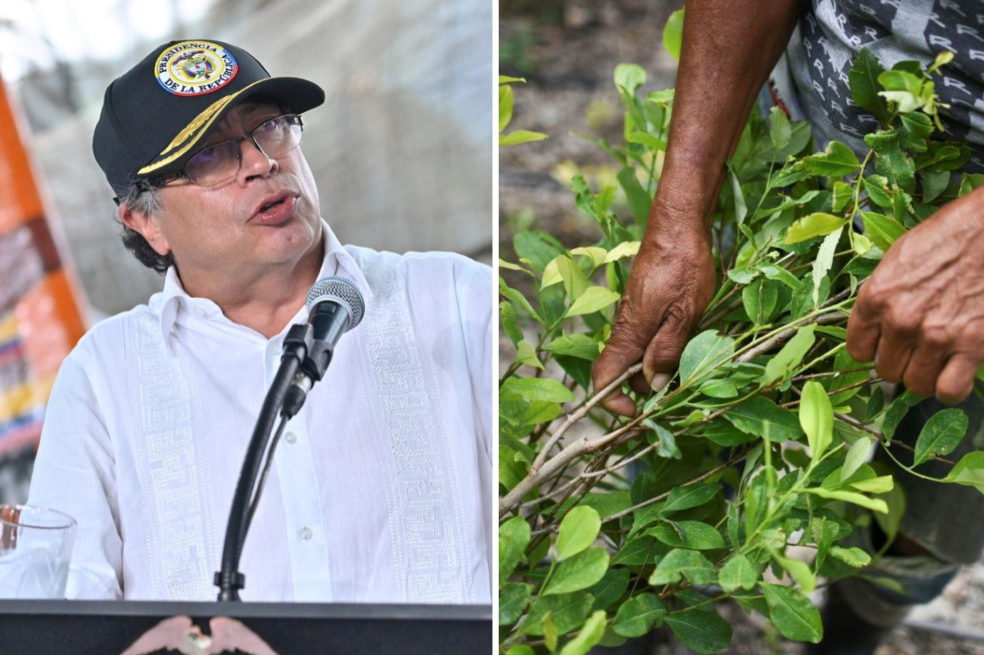 Petro se adelanta al informe de ONU sobre coca y dice que cultivos crecieron solo 3 % en 2024