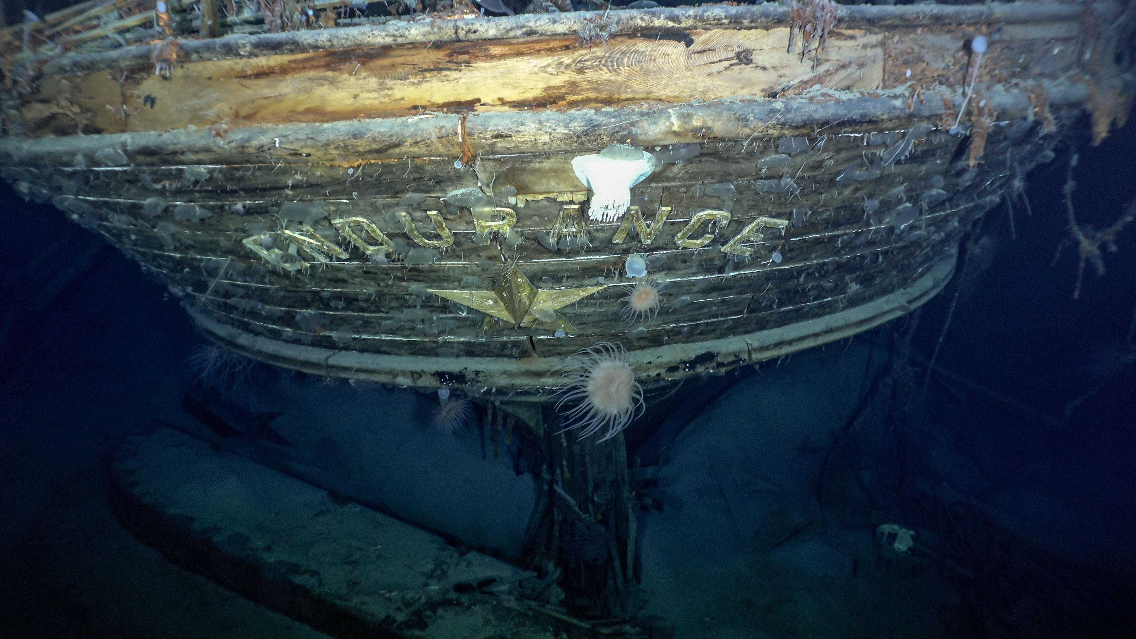 Encontraron el “Endurance”, uno de los mayores naufragios de la historia naval