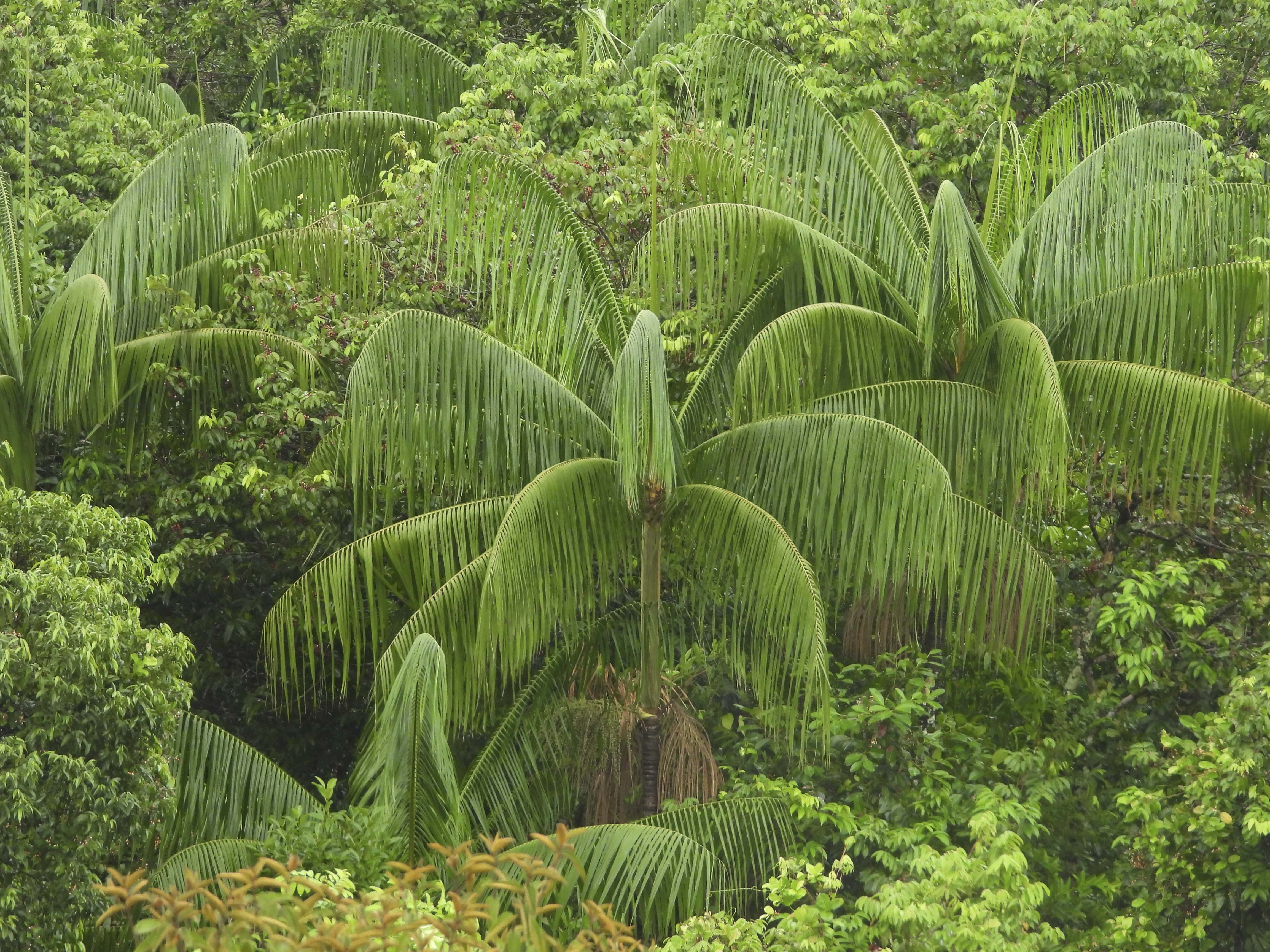 Reserva Natural Yurumí, un pacto con la conservación y la conciencia ambiental