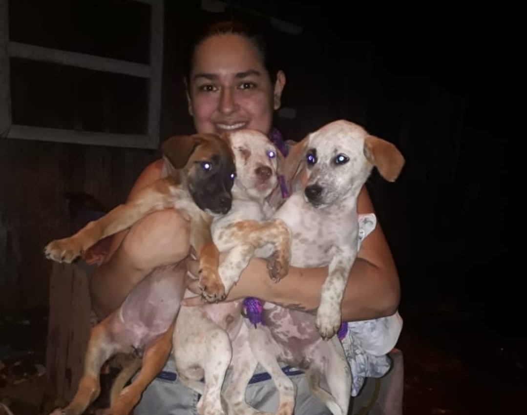 Salvando Huellitas: una segunda oportunidad para los animales en Buenaventura