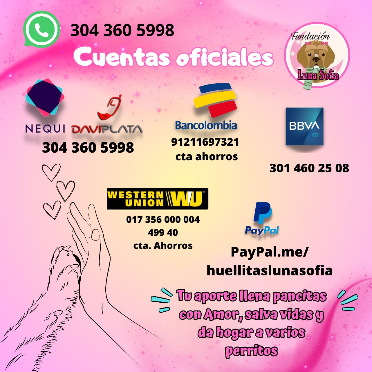 Cuentas oficiales de dinero