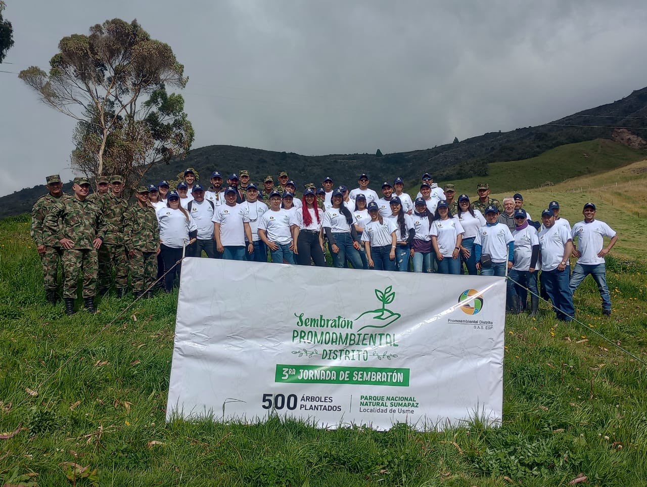 Usme: más de 500 árboles fueron sembrados por Promoambiental y voluntarios en Bogotá