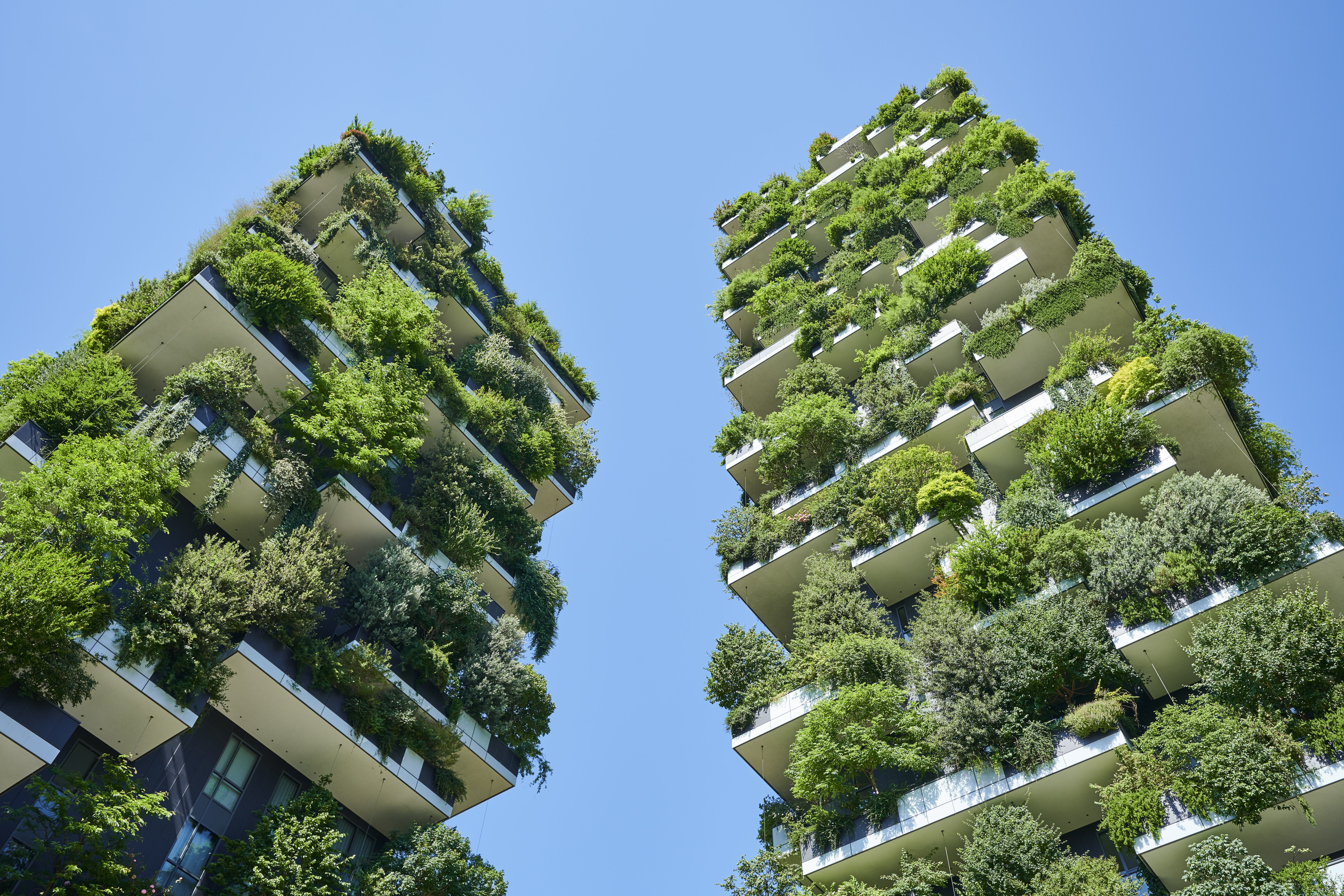 ¿La naturaleza puede protegernos del cambio climático? Estos ejemplos muestran que sí