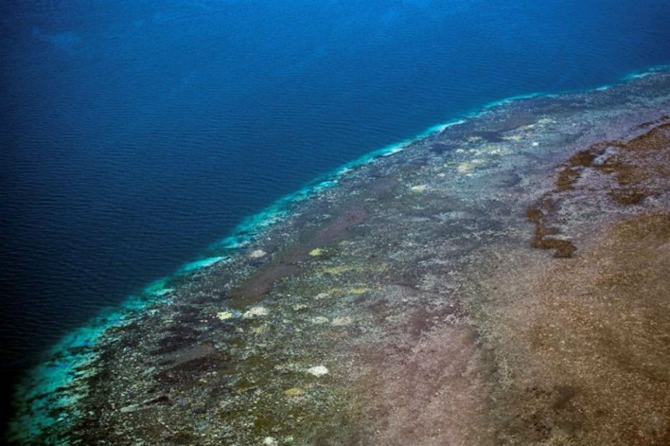 Australia destina 48 millones de dólares para proteger la Gran Barrera de Arrecifes