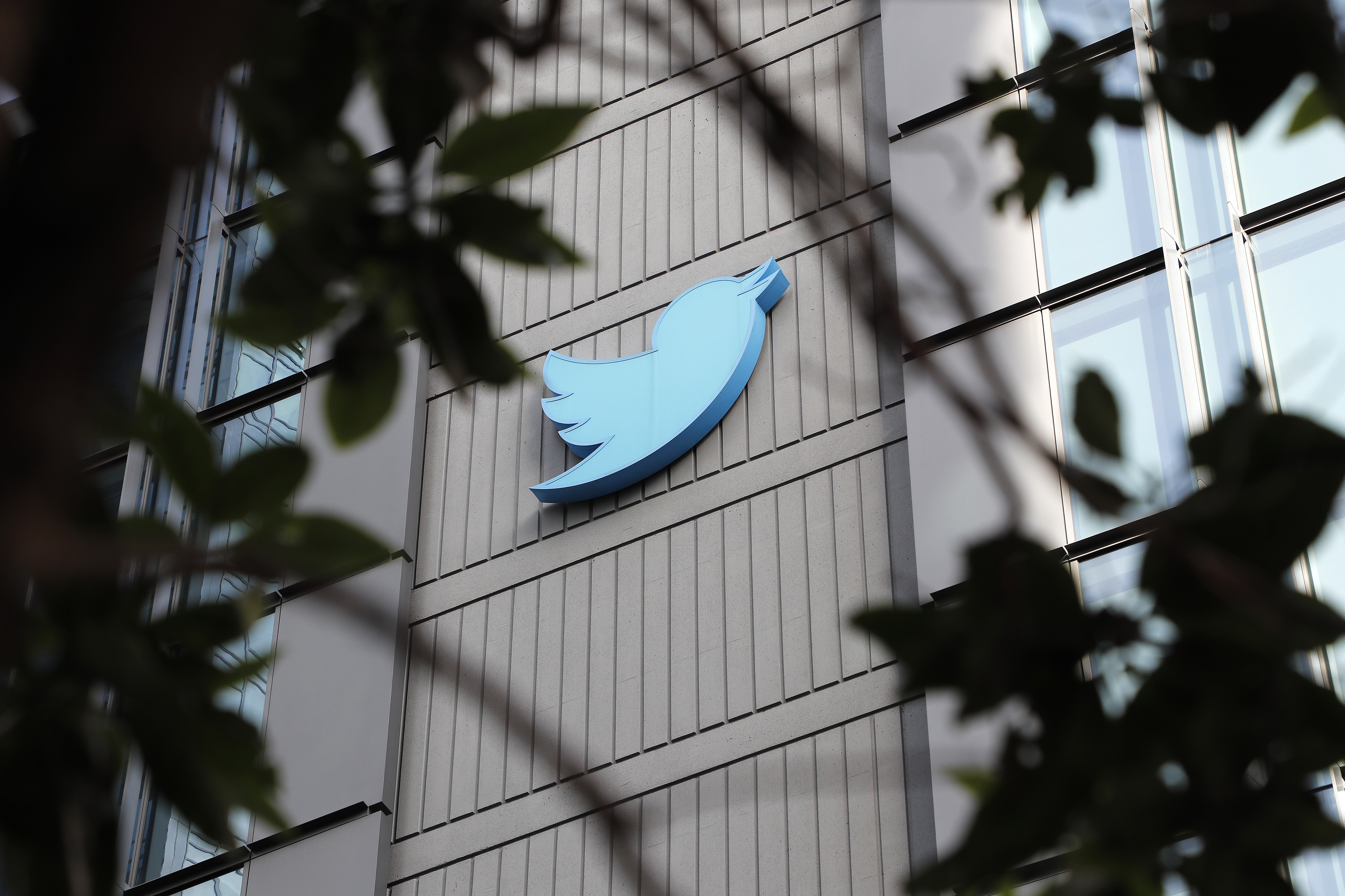 Twitter despide a 200 empleados más, según The New York Times