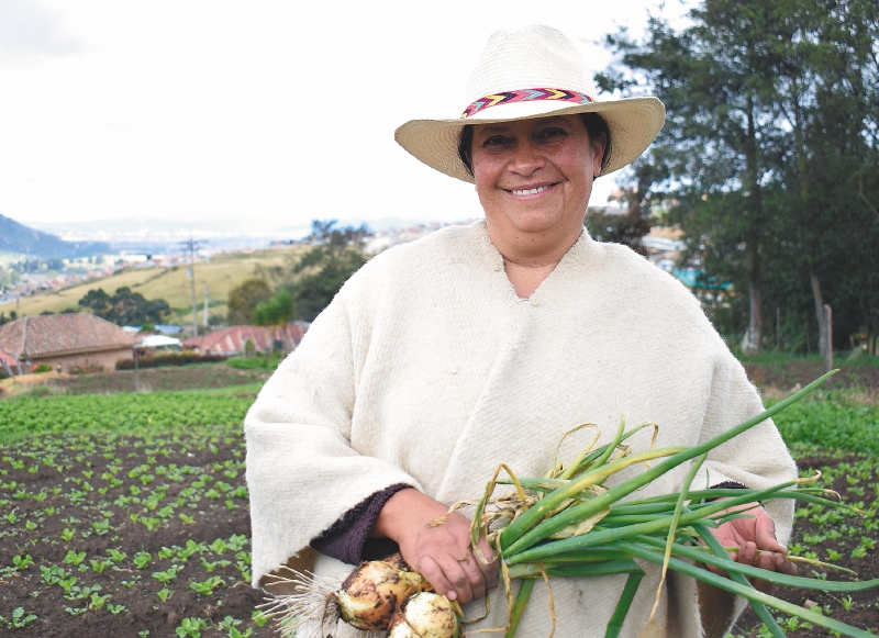 Jurisdicción Agraria: Colombia está a punto de saldar su deuda con el campesinado