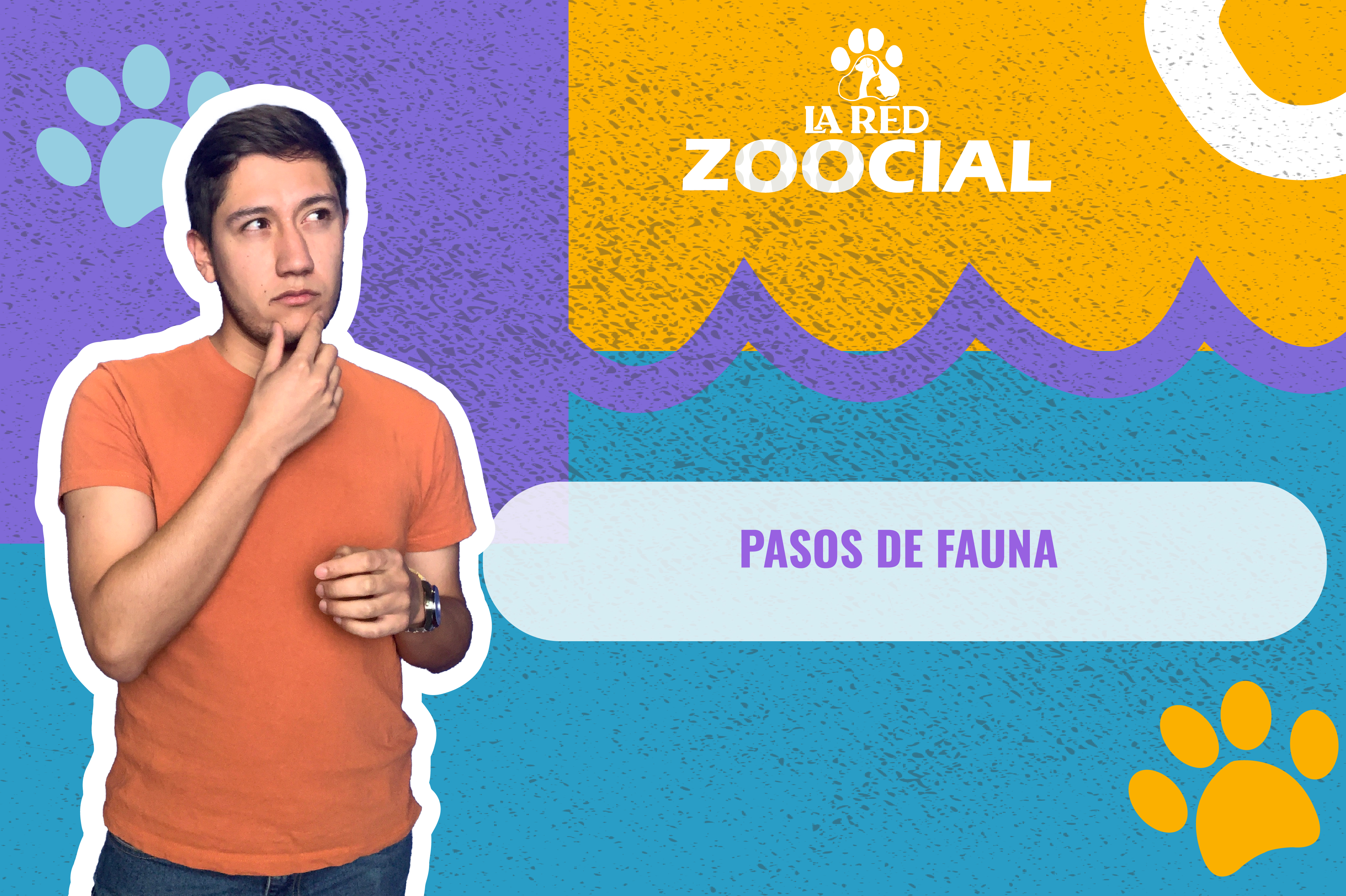 ¿Qué son los pasos de fauna?