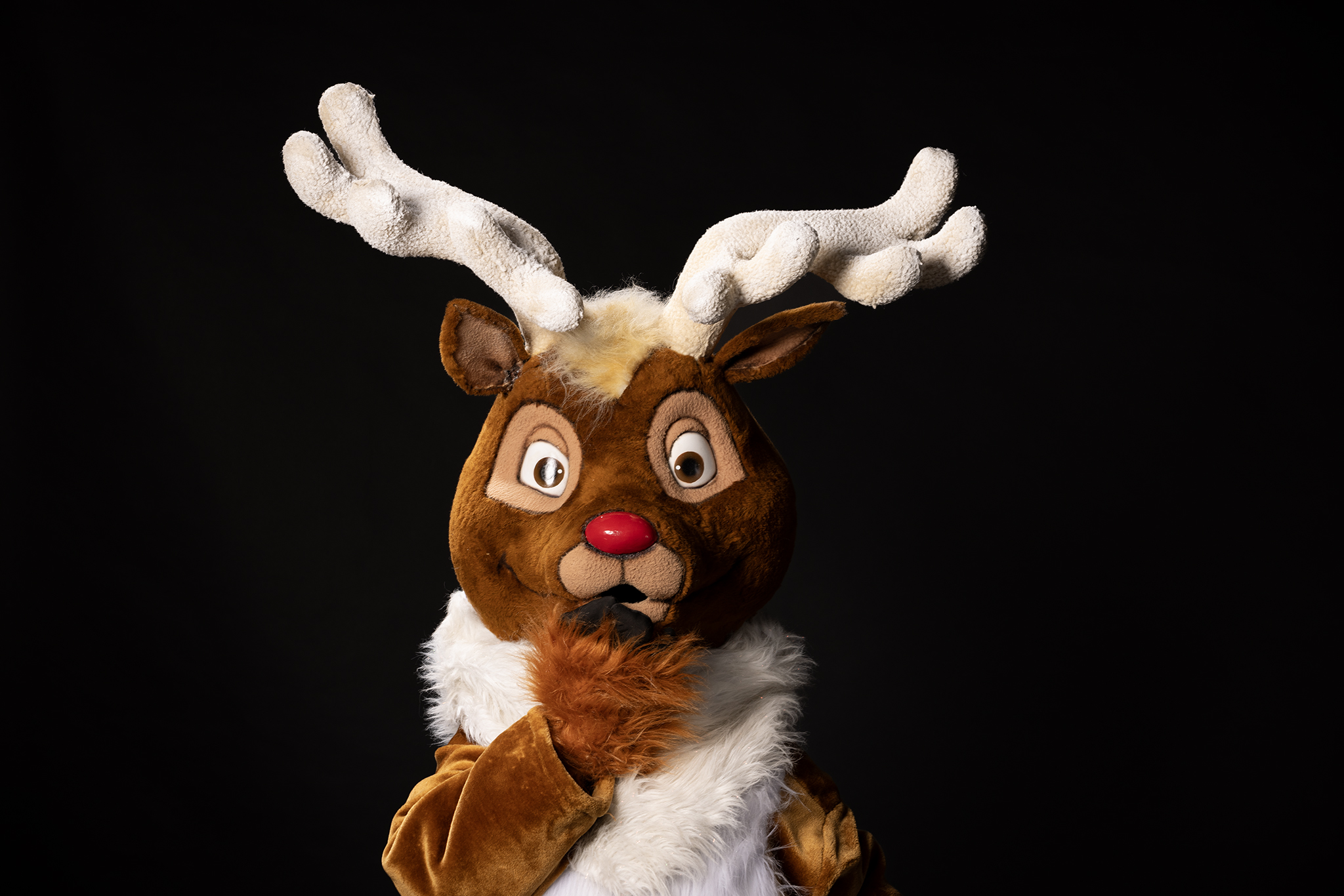 Teatro el Tesoro presentará el musical navideño “Show de Rudolf” con 120 artistas