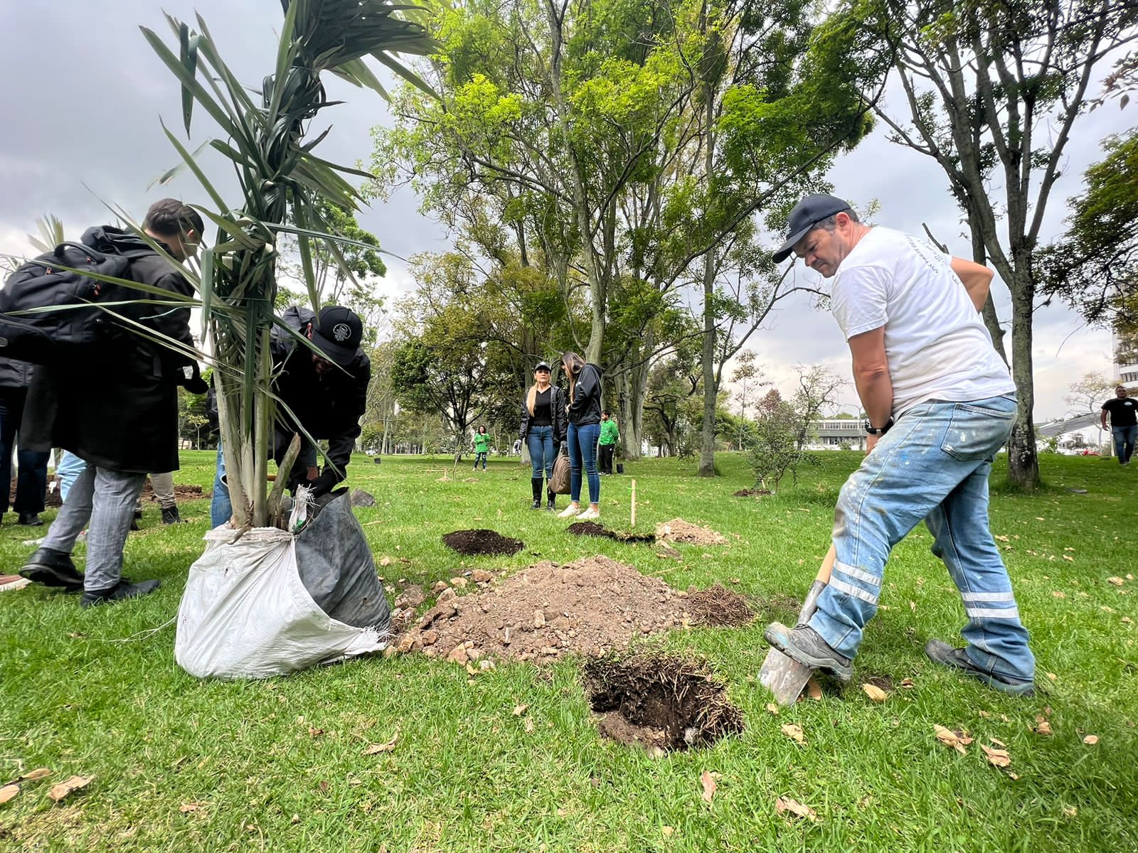 Siembran más de 150 árboles en el campus de la Universidad Nacional