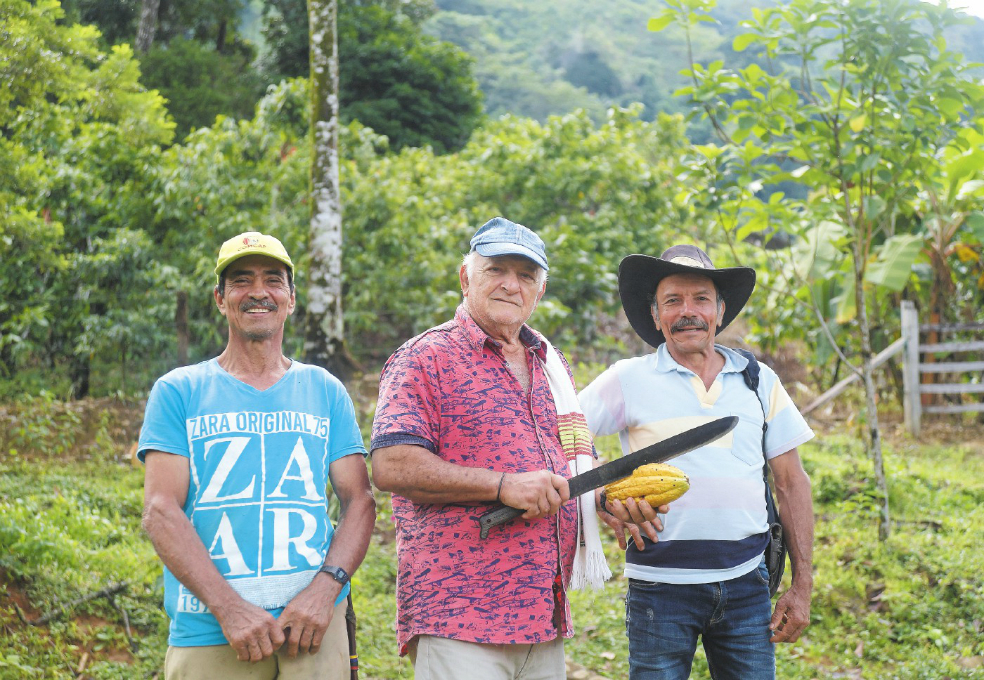 Una oportunidad de exportación para el cacao de Caquetá