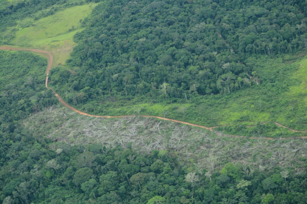 La Amazonía ahora tiene los derechos de cualquier ciudadano