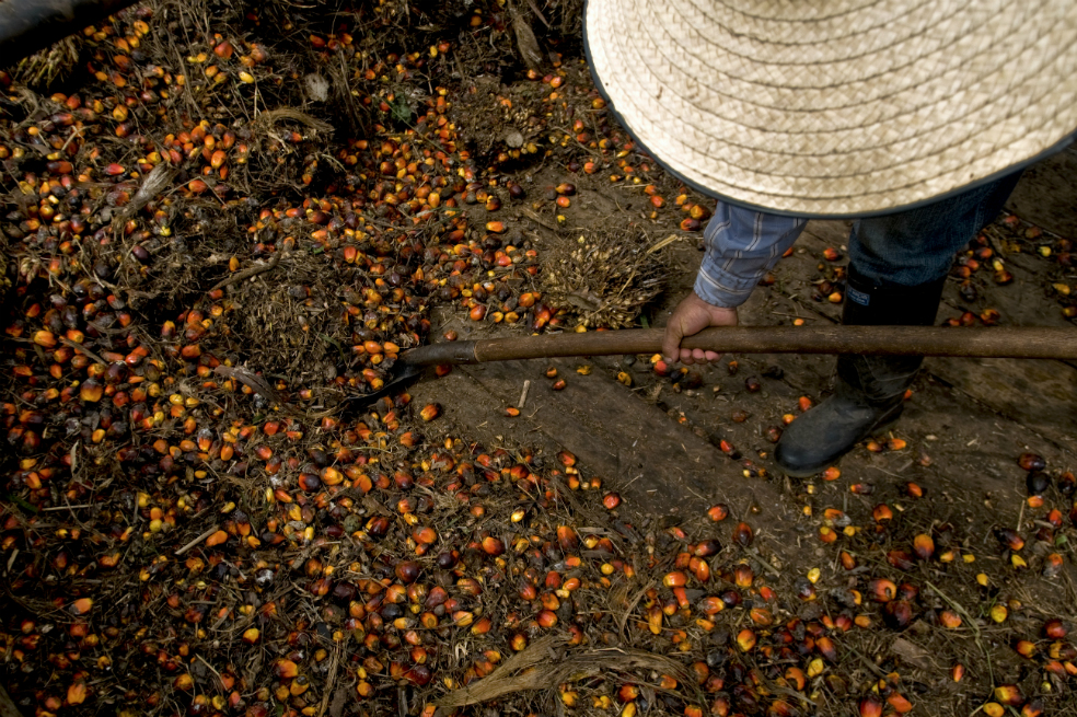 Un nuevo paradigma del desarrollo rural