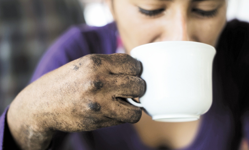 Una crisis del café que no distingue fronteras