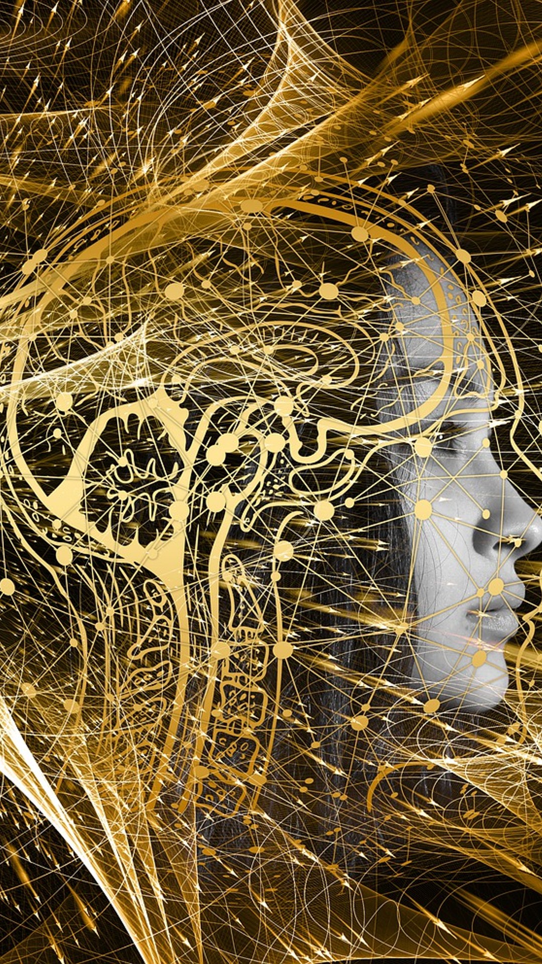 Cerebro y neuronas