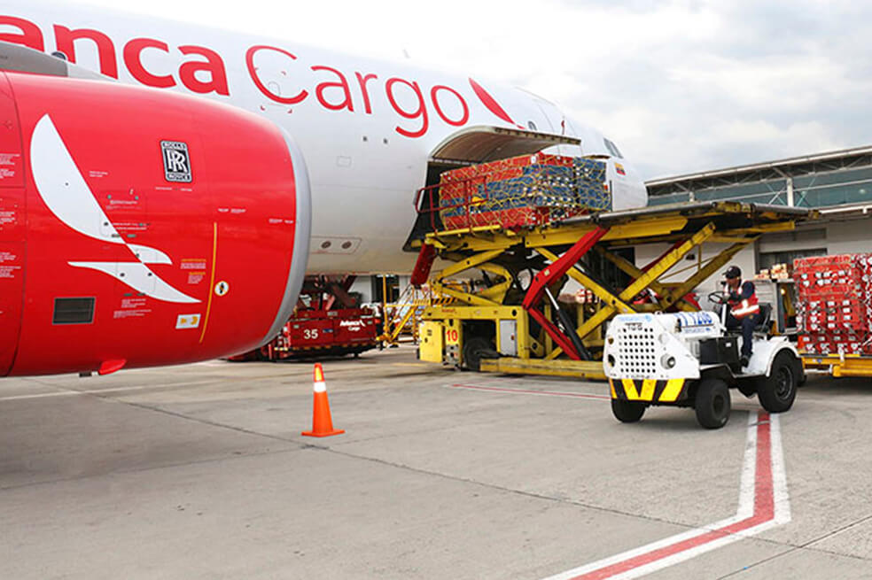 Gobierno dice que garantizará transporte aéreo de carga