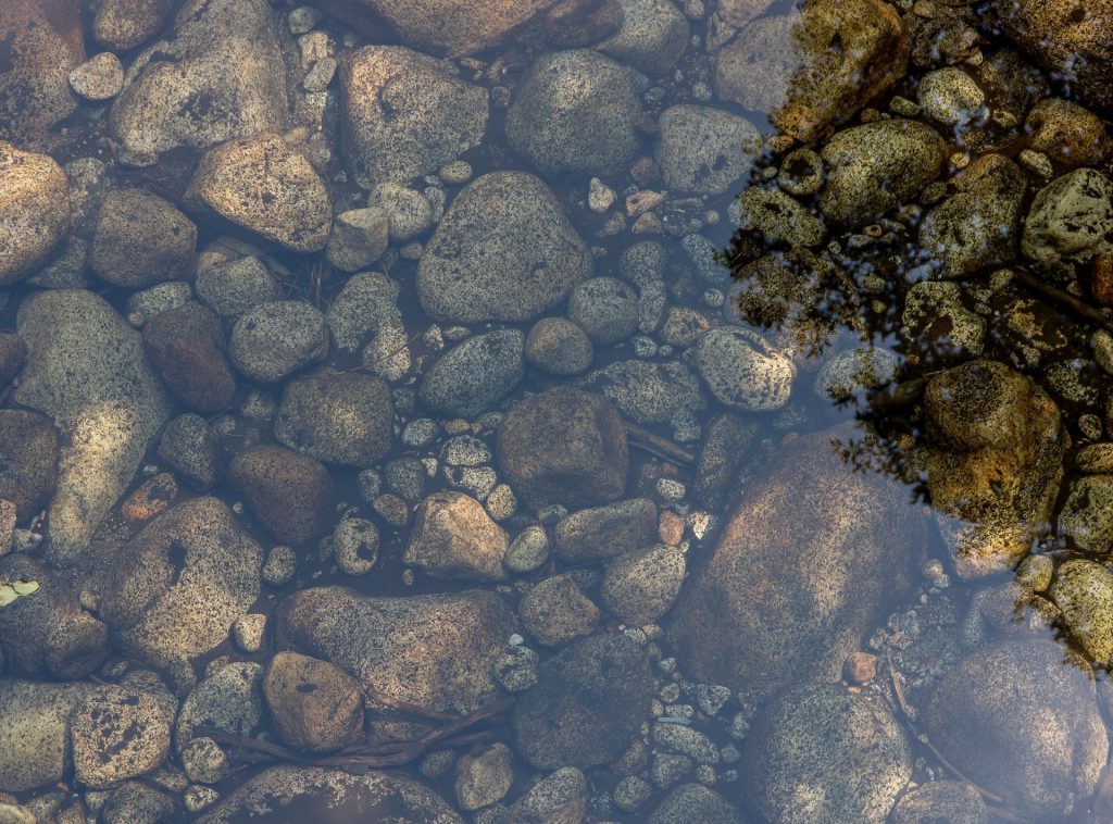 Los verdaderos guardianes de los ecosistemas de agua dulce