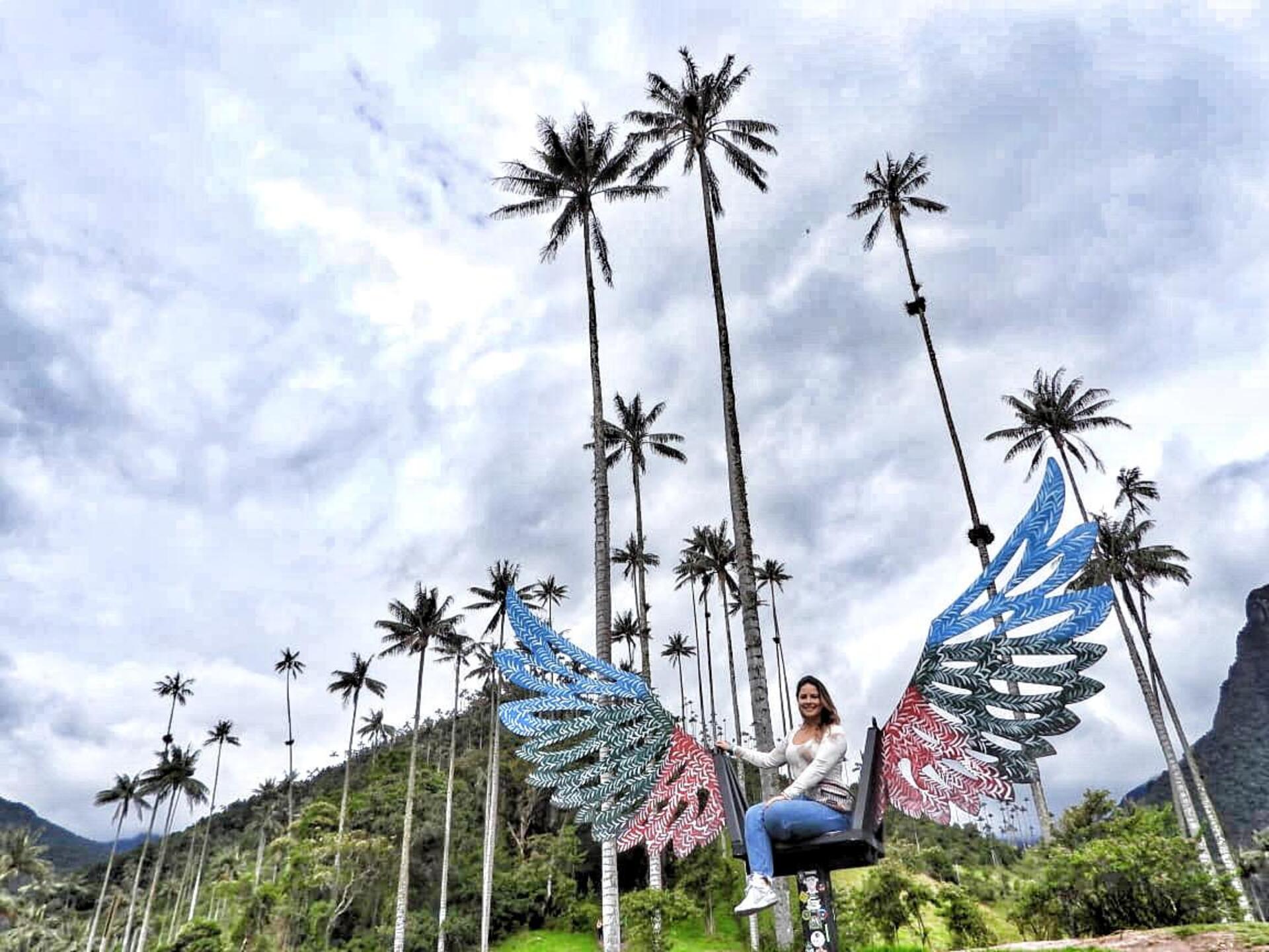 A unos 15 km de Salento se encuentra el Valle de Cocora, uno de los paisajes más conocidos y bonitos de Colombia