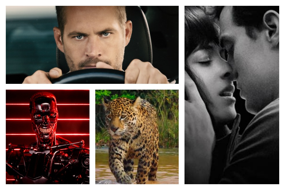 Las 10 películas de 2015 más taquilleras en Colombia