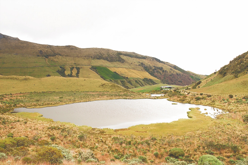 Unidos para conservar la cuenca del río Chinchiná