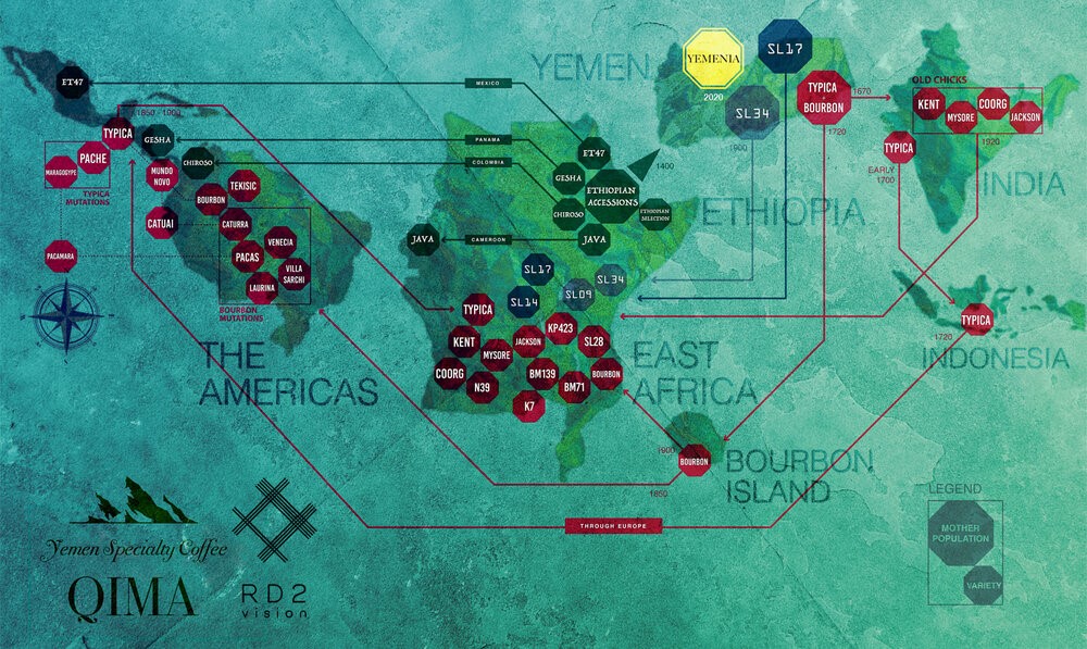 Mapa sobre evolución del café en Yemen.