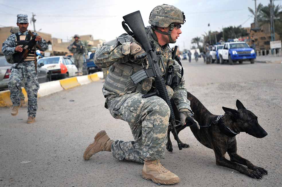 Un perro antiexplosivos durante una misión en Irak. / Flickr: The U.S. Army