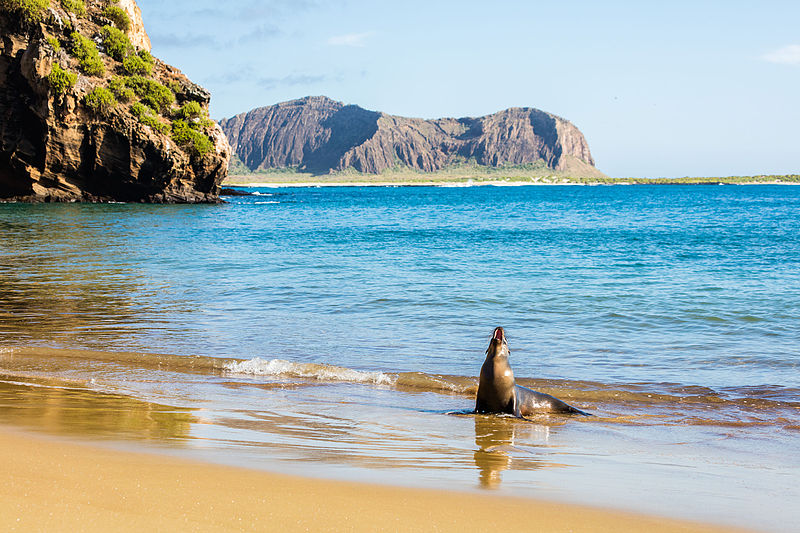 Ecuador oficializa su nueva reserva marina de Galápagos