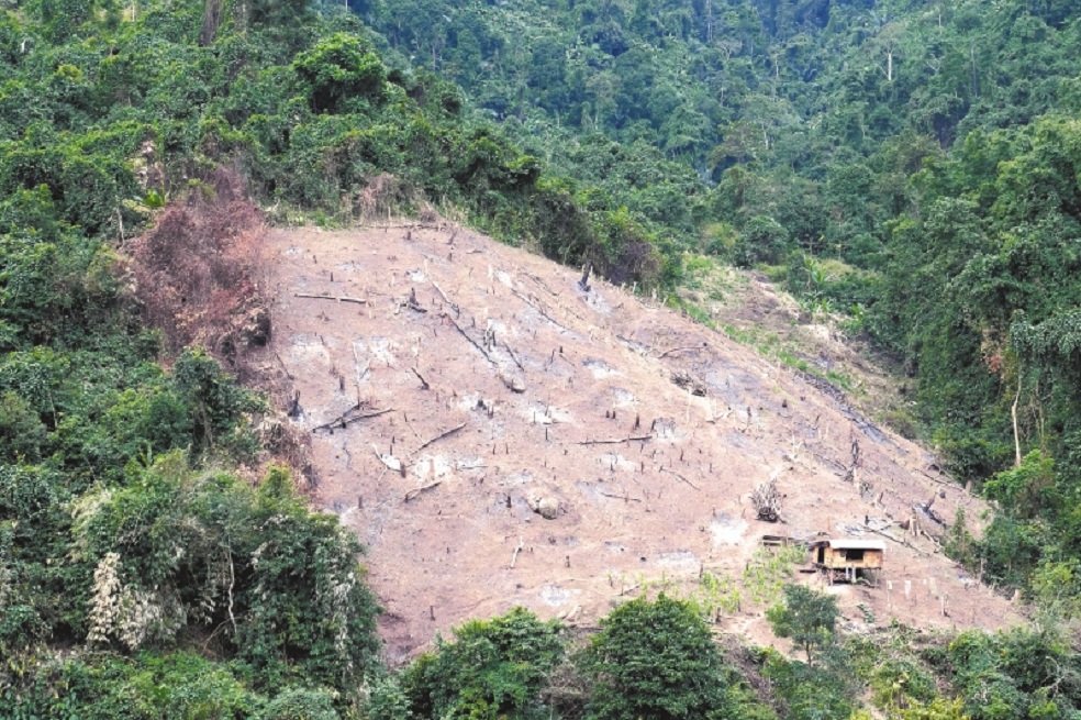 Deforest situation at highland Quang Nam, Viet Nam along Ho Chi Minh trail, smooth forest, bare hill at mountain, this make climate change and nature disaster at Vietnam and global