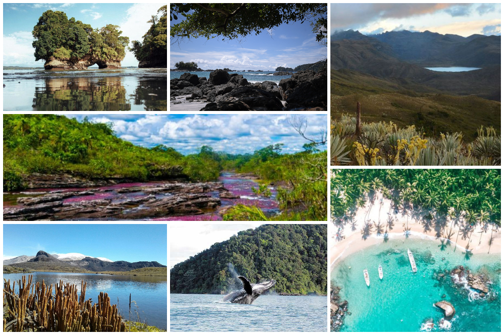 Estos son los mejores destinos para viajar en ruta en 2023, hay uno en Colombia