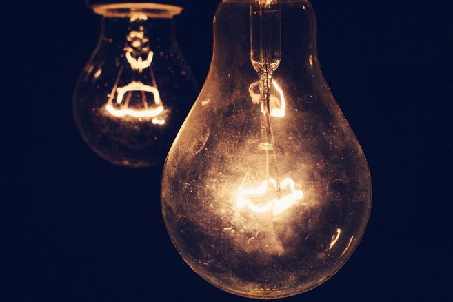La luz artificial nocturna hace que las hojas sean menos comestibles para los insectos