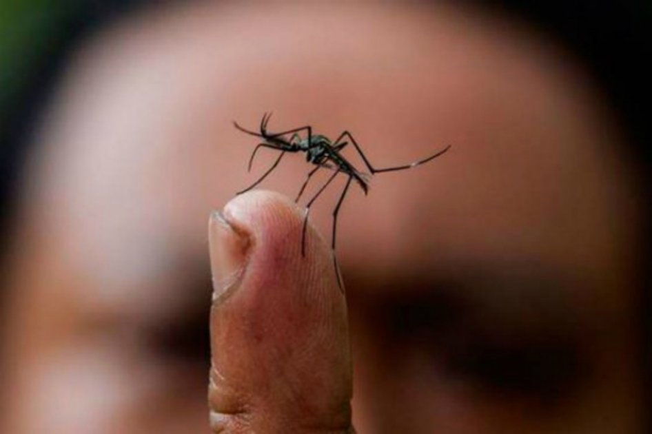 En Brasil, el país más afectado por el virus, se duplicaron las peticiones, y lo mismo sucedió en Ecuador y Venezuela. / Archivo