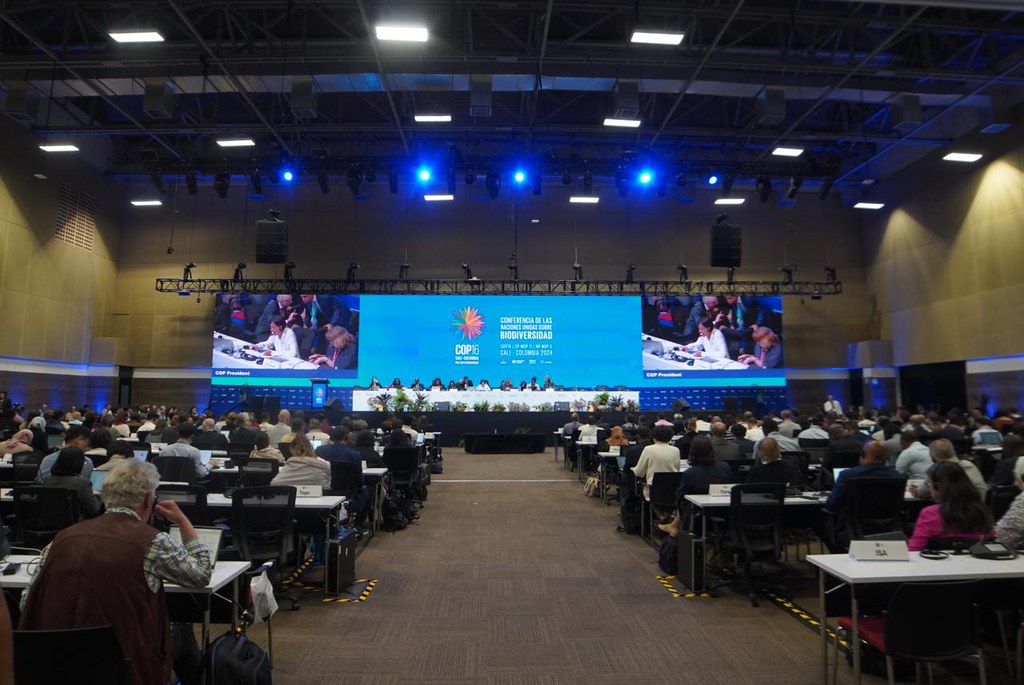 Primera semana COP16