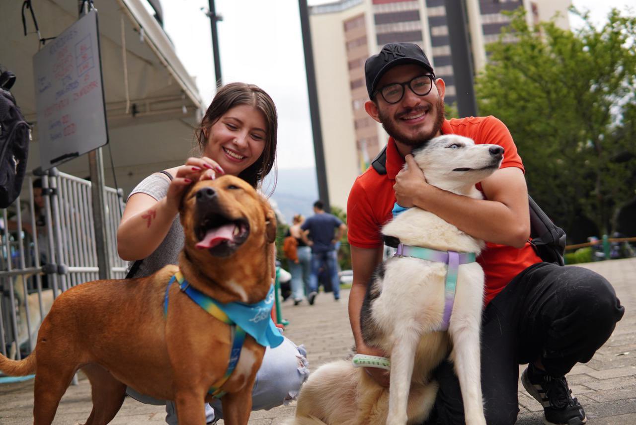 Medellín celebra su jornada de adopción más exitosa del año: 80 animales encontraron hogar