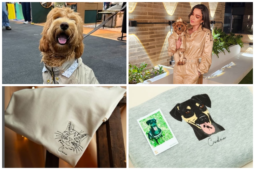 Así crecen las tiendas de ropa para perros y gatos en Colombia