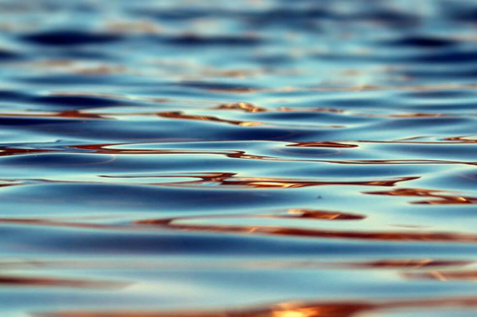 ¿Cómo contribuir a la preservación del agua?
