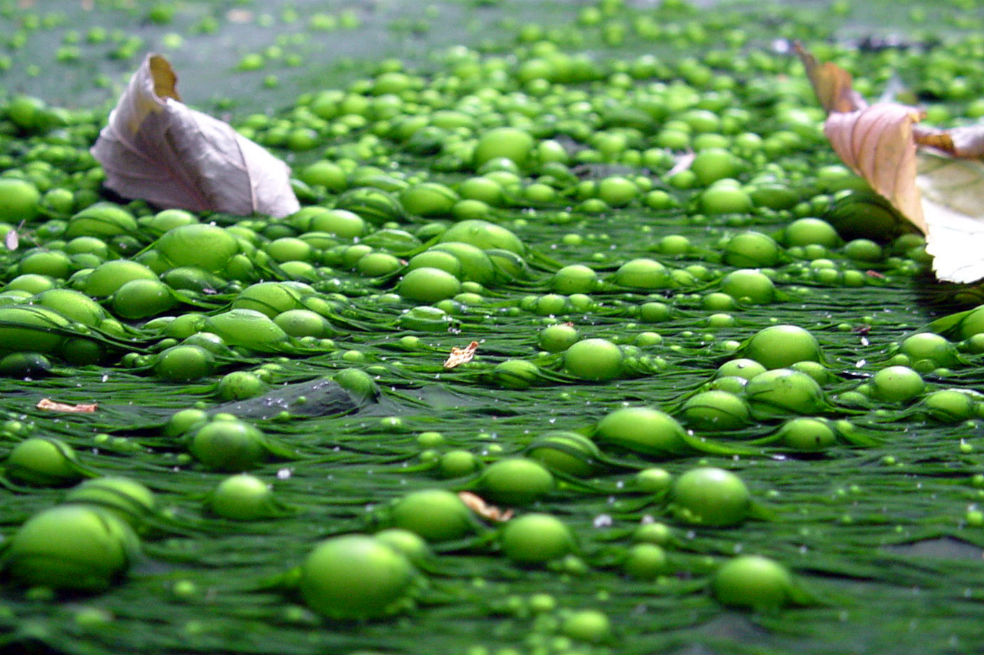 Ropa y bienes de lujo: los contaminantes sorpresa de las fuentes de agua