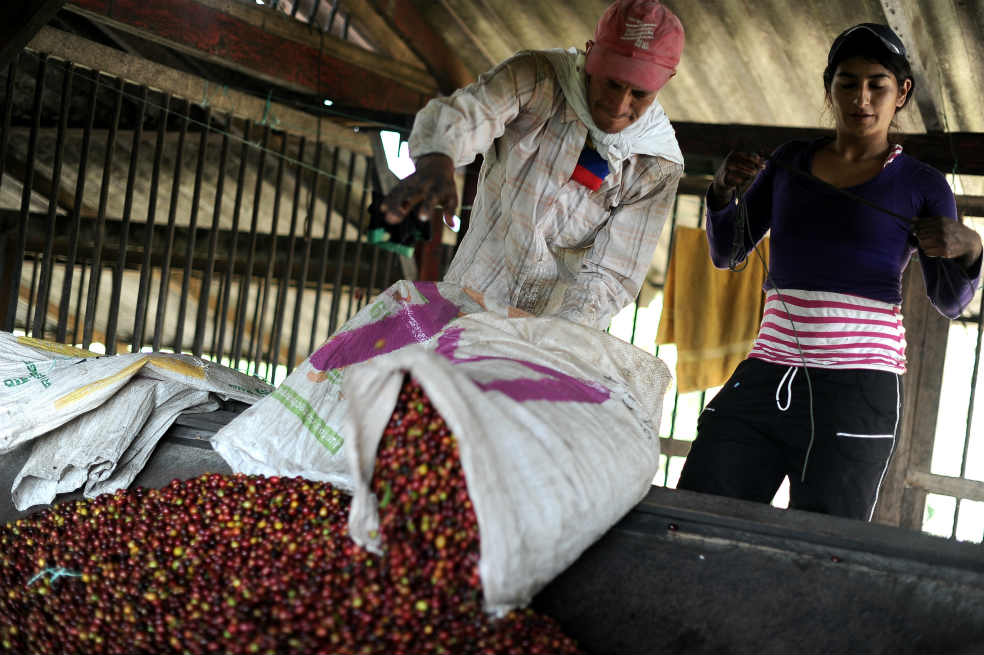 ‘El sector cafetero debe ser competitivo’