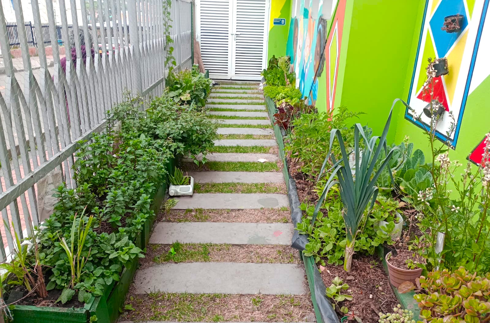 Huerta ancestral: la propuesta de un jardín afro en Bogotá