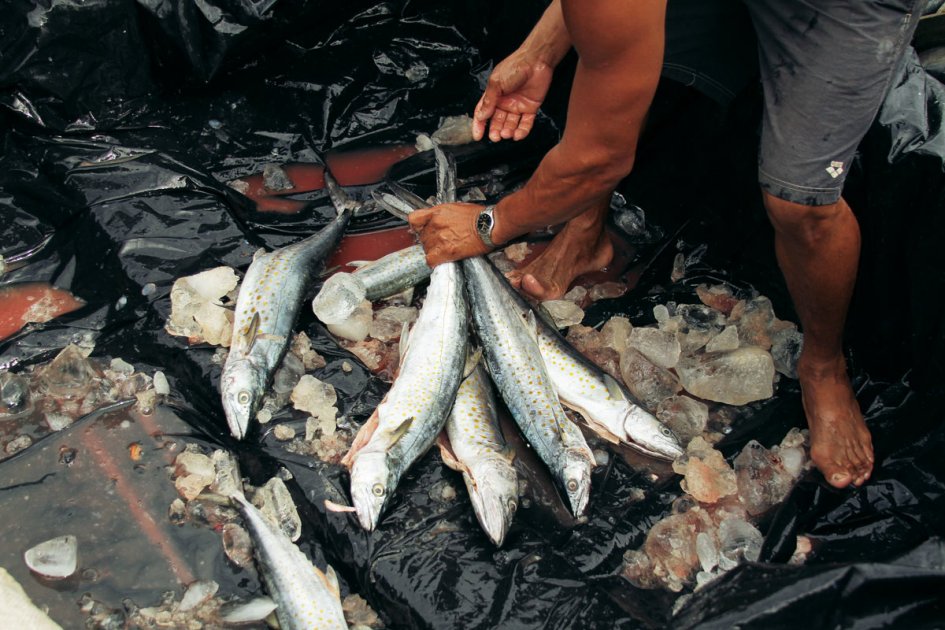 Barco jamaiquino realizaba pesca ilegal en aguas colombianas