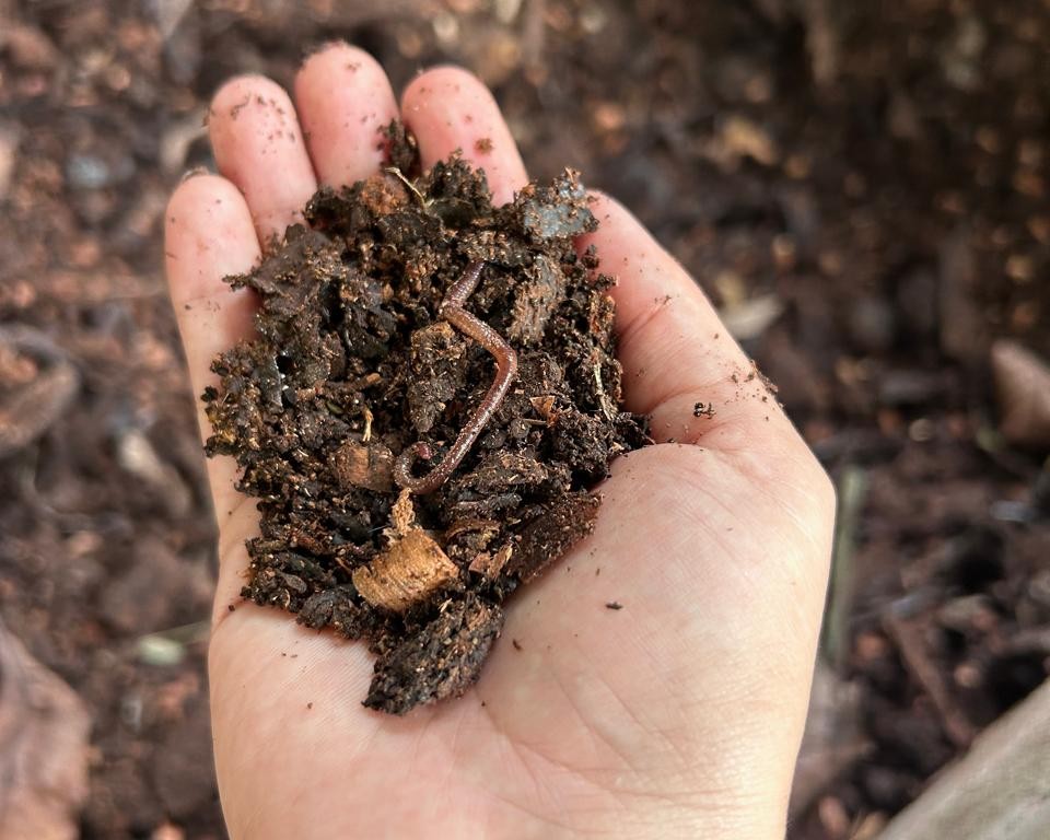 Un compost también podía alimentar una huerta y convertirse en parte de la alimentación de las familias
