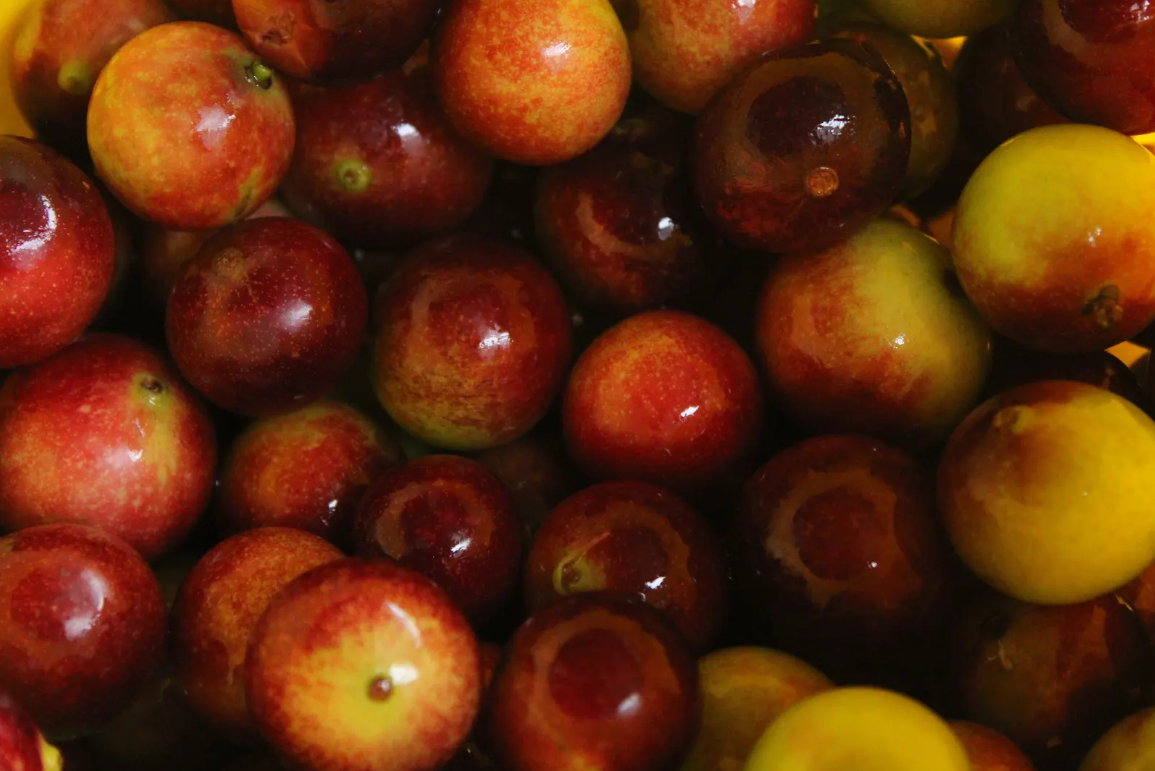 En Bogotá hay una heladería con sabor a selva colombiana