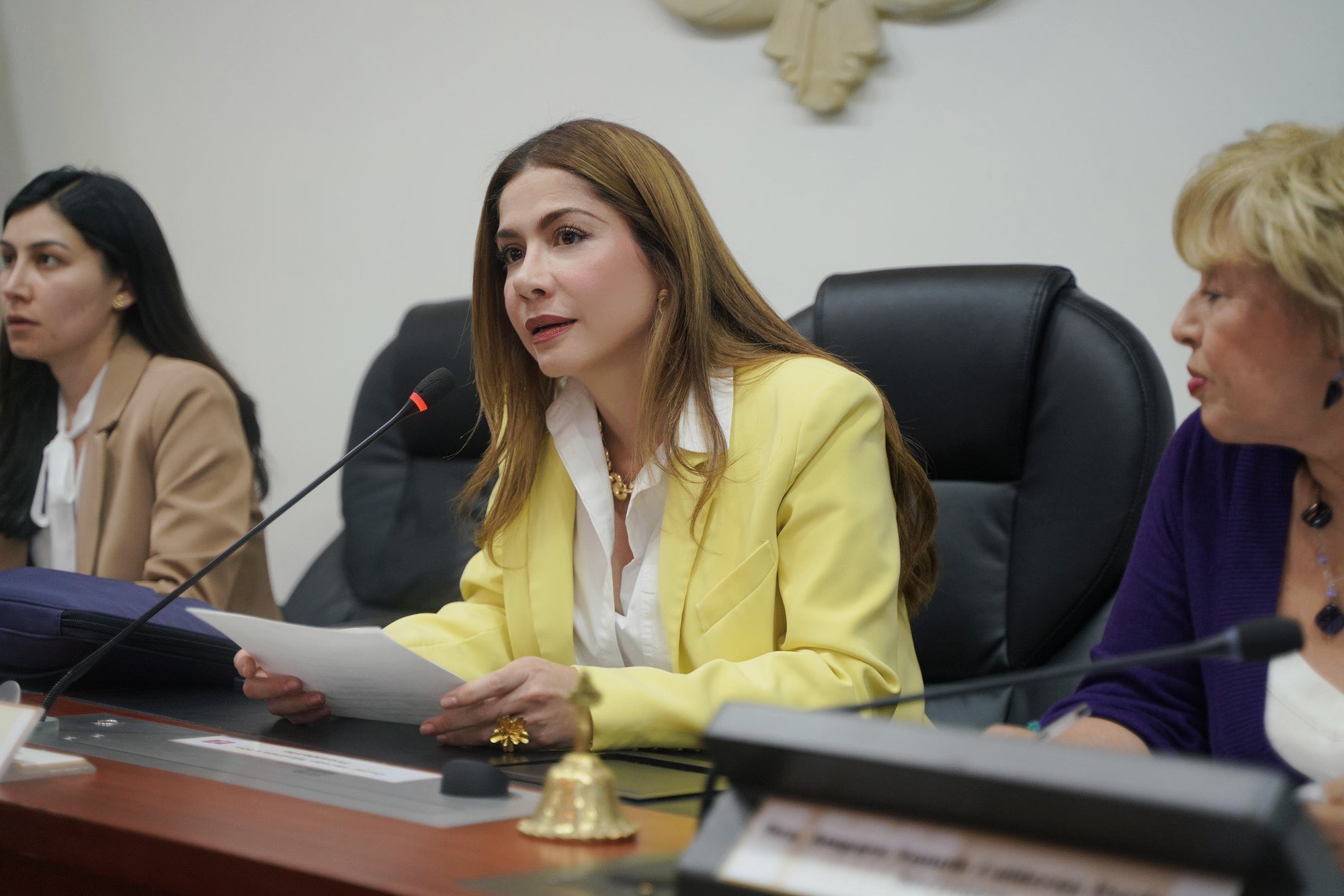 Se aprobó en primer debate el proyecto que endurece los requisitos para ser ministro