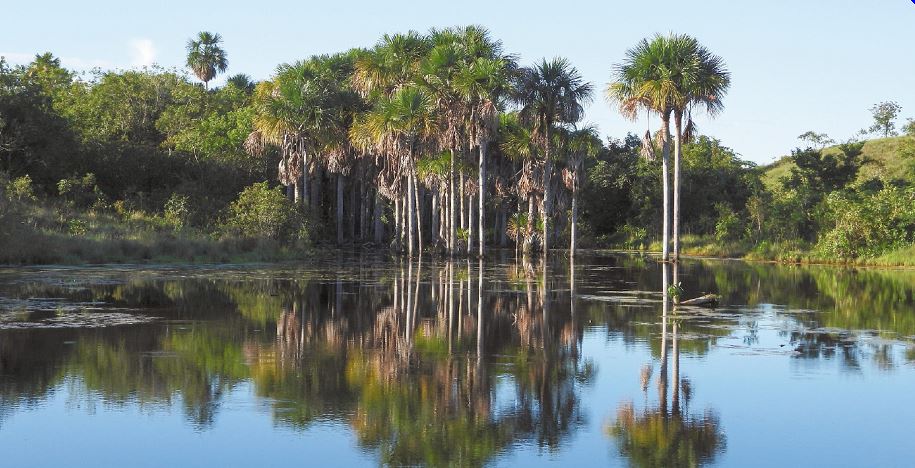Ser una reserva significa tener un área protegida con características especiales, algunas veces únicas al poseer ecosistemas naturales en peligro. / Reserva Yurumí