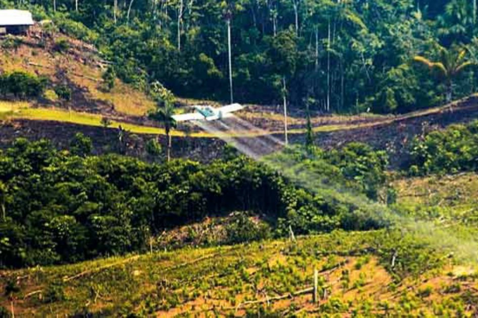 «Más finura y puntería», pidió Minagricultura a fumigadores de cultivos ilícitos