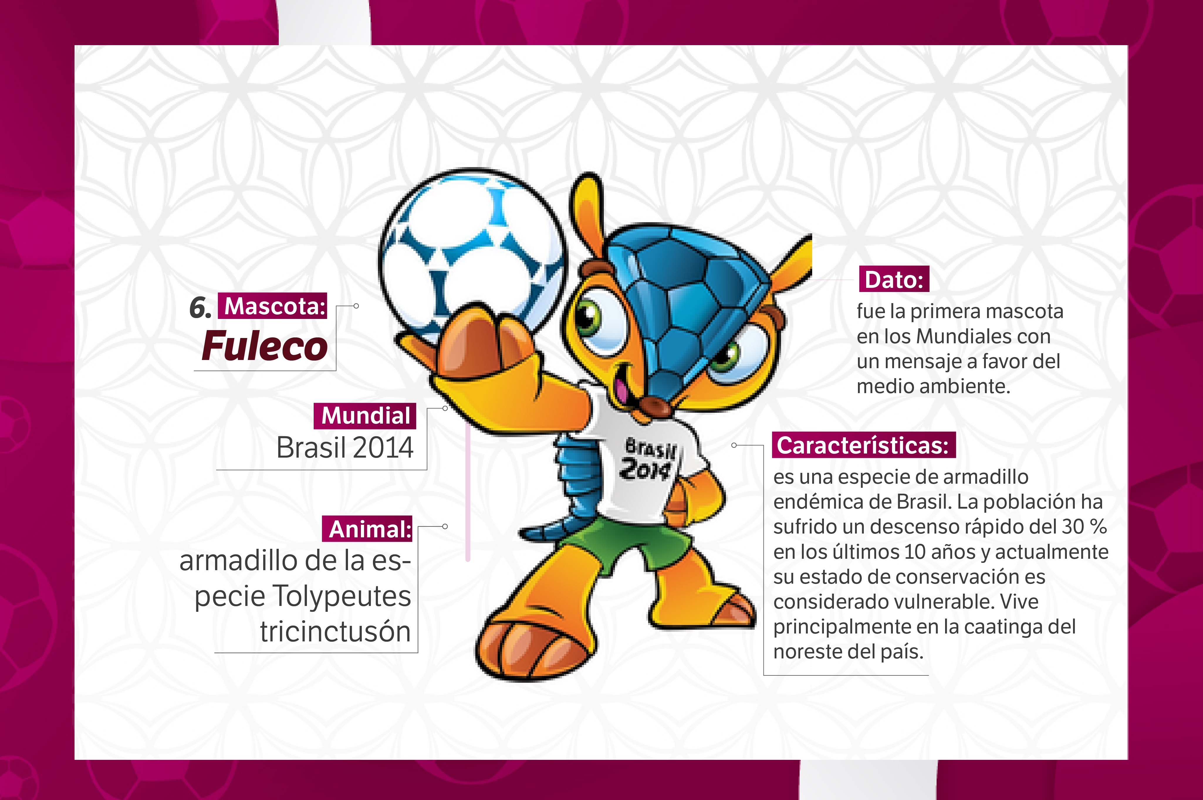 Fuleco es un armadillo de la especie Tolypeutes tricinctus y fue creado para Brasil 2014.