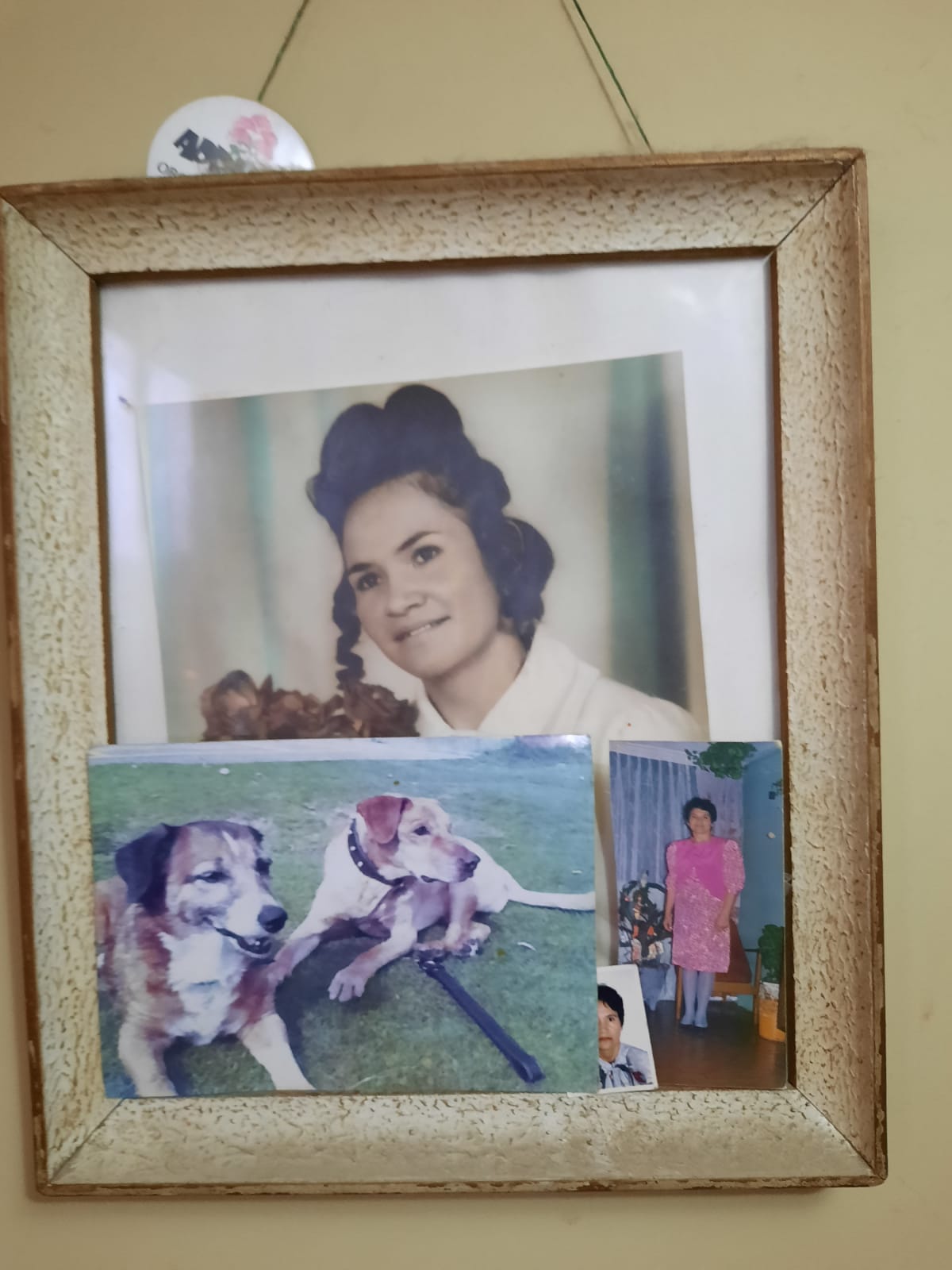 En este cuadro se puede observar a la mamá de Adriana y a sus perros.