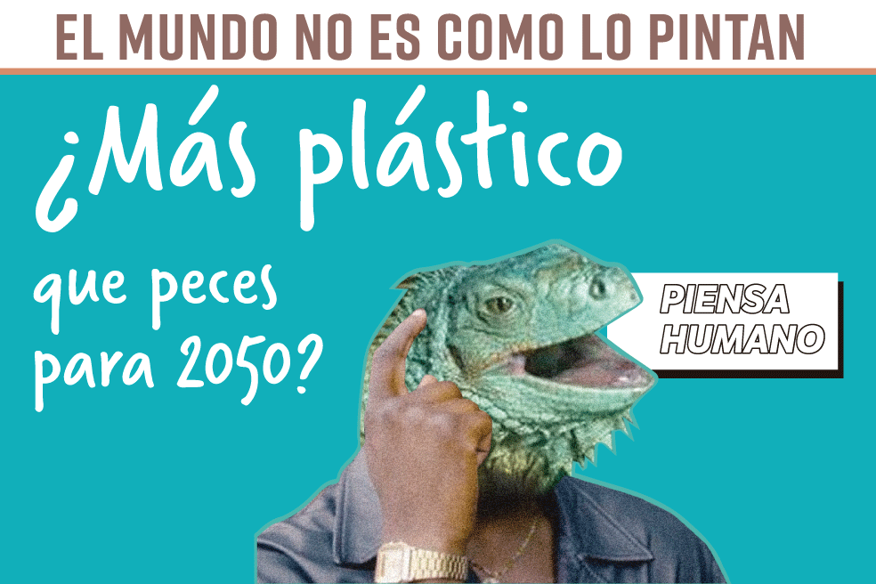 El mundo no es como lo pintan: ¿Más plástico que peces para 2050?