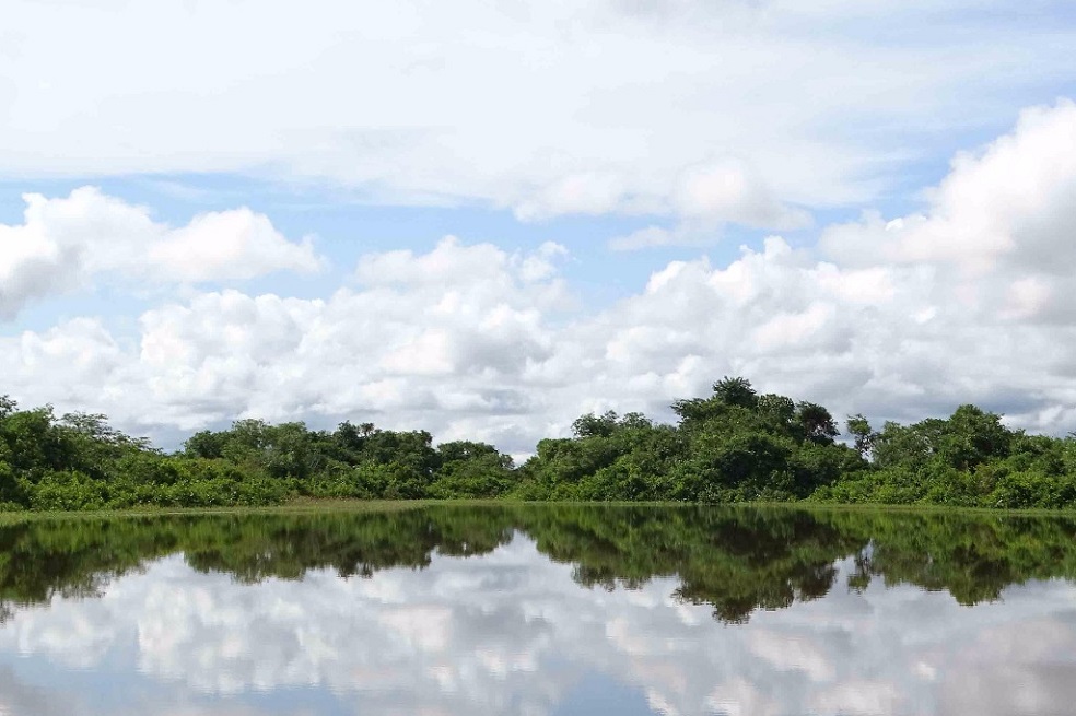 Ciénagas en Nechí y Caucasia (Antioquia), nuevas áreas protegidas