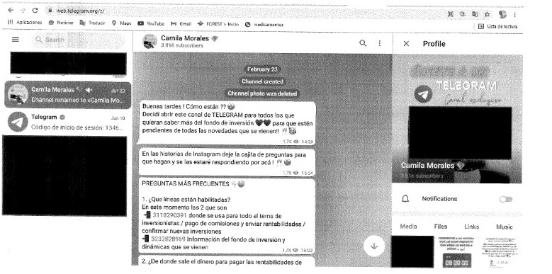 Estos eran los mensajes que Camila Morales enviaba a través de su cuenta en Telegram.