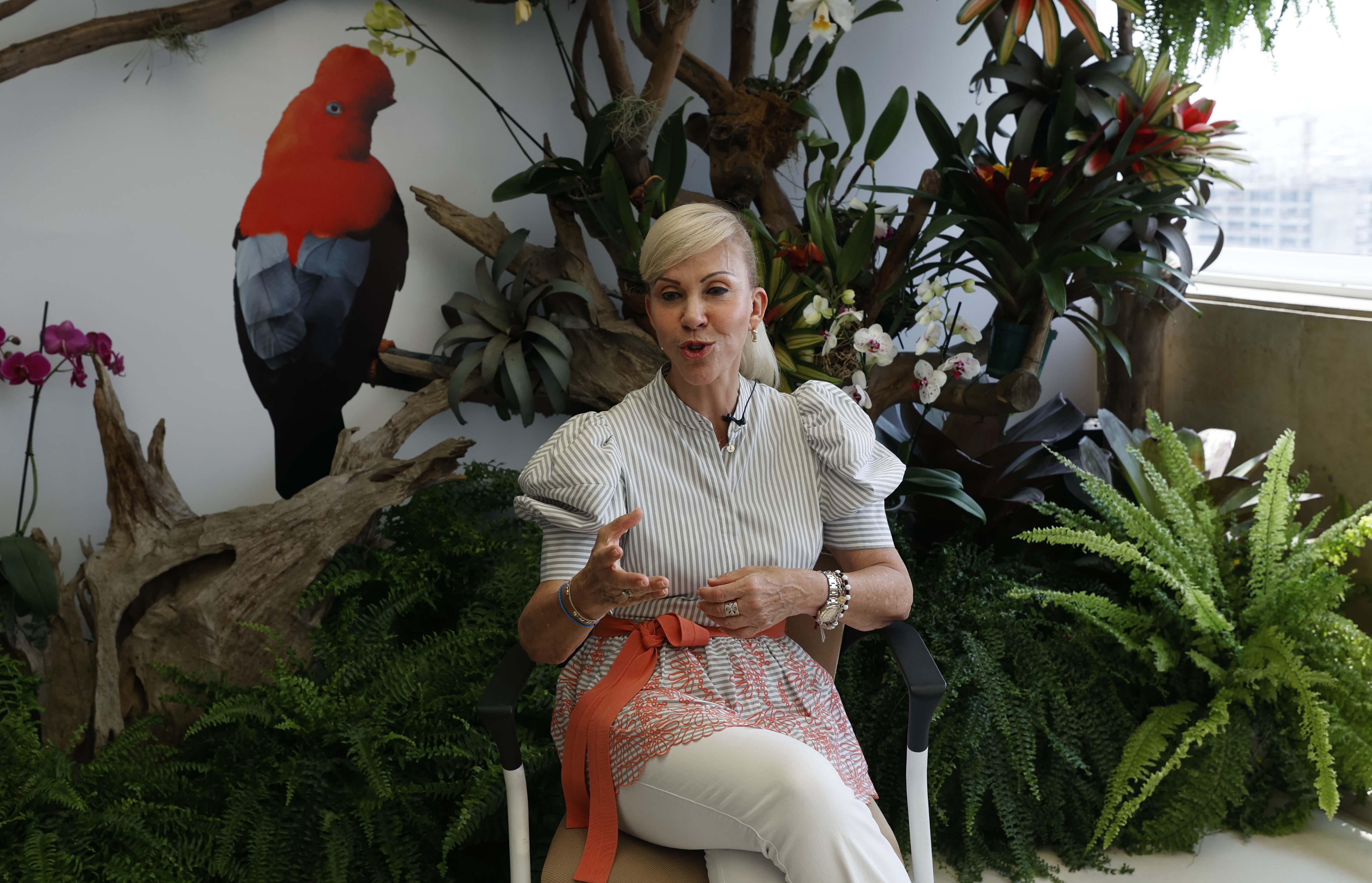 AME200. CALI (COLOMBIA), 23/10/2024.- La gobernadora del Valle del Cauca, Dilian Francisca Toro, habla durante una entrevista con EFE este martes, en Cali (Colombia). Para proteger y conservar la biodiversidad es necesario acabar con las economías ilícitas, explica en una entrevista con EFE la gobernadora del departamento colombiano del Valle del Cauca, Dilian Francisca Toro, quien aboga por una "unión de países" para terminar con "la droga y la minería ilegal". EFE/ Mauricio Dueñas Castañeda
